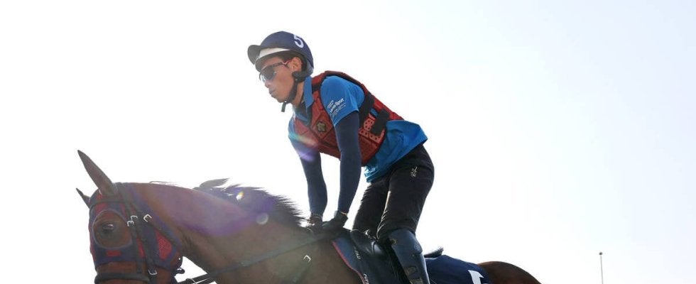 【香港マイル】牝馬２冠馬エンブロイダリーが海外初挑戦　森一調教師「３歳牝馬の中でチャンピオンホース」