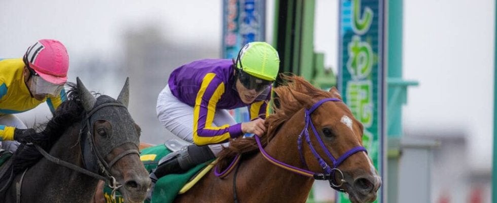 かしわ記念Vのカジノフォンテンは船橋記念がラストラン