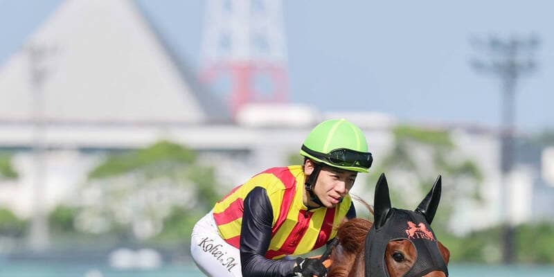 【阪神ＪＦ・超ブル診断】混戦では馬体重が重要なファクター　キャリア＆前走条件も加えると浮かび上がるのはスターアニス