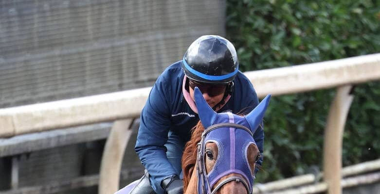 【阪神ＪＦ】「いい」陣営も太鼓判！　栗東滞在で気配上々　新馬以来の阪神でアルバンヌが初タイトル狙う