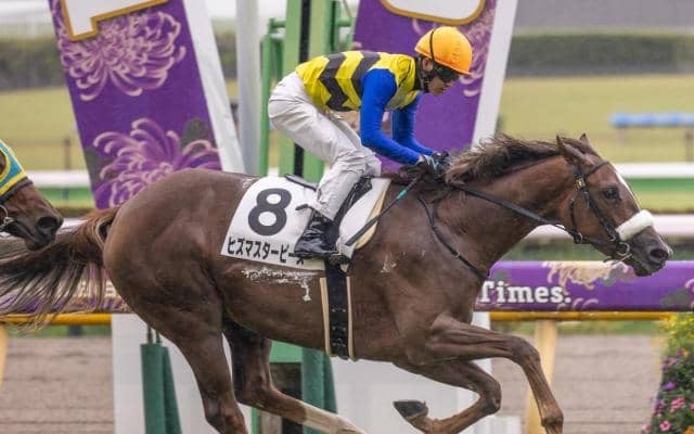 【阪神JF展望】「前走馬体重」が攻略への最大の鍵