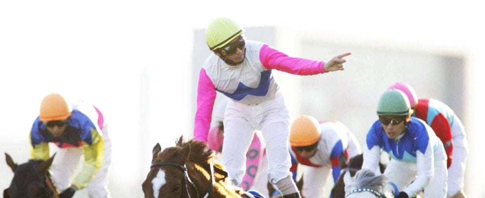 「天国で父ちゃんに褒めてもらって」トウカイテイオー産駒トウカイポイント２９歳で死す　けい養先発表にネットで哀悼の声続出