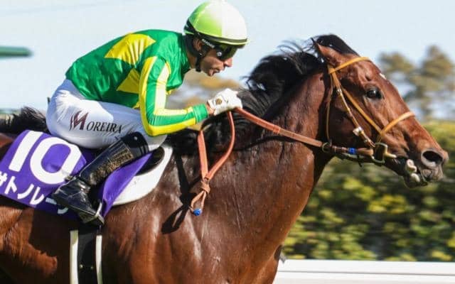 【香港スプリント】高松宮記念覇者のサトノレーヴ 今度こそ打倒カーインライジングなるか