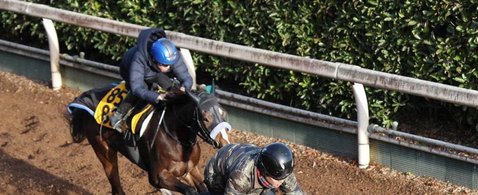 【注目馬動向】マルガはつわぶき賞での巻き返しへ軽快な最終追い　陣営「ちょうどいい。今は勉強させていきたい」