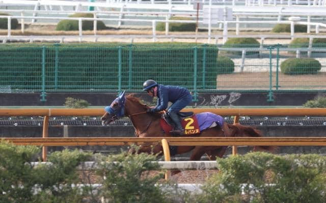 アルバンヌ、阪神JF最終追い切り速報/栗東トレセンニュース