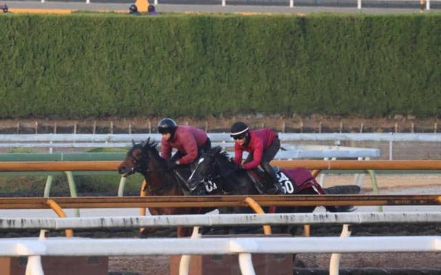 バドリナート、ホープフルS2週前追い切り速報/栗東トレセンニュース