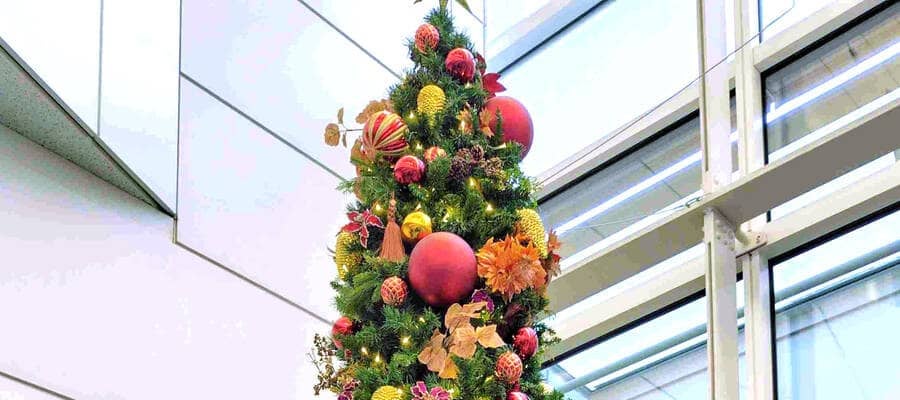 世界５階級王者ドネアが来日　井上尚弥に２連敗を喫した日本で「自分の歴史を書き換えるために来た」…１７日に堤聖也と対戦