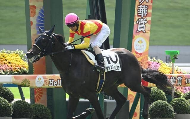 【ホープフルS想定】ジャスティンビスタ、アンドゥーリルなど13頭