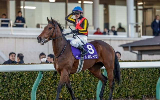 【有馬記念想定】レガレイラ、メイショウタバルなど18頭