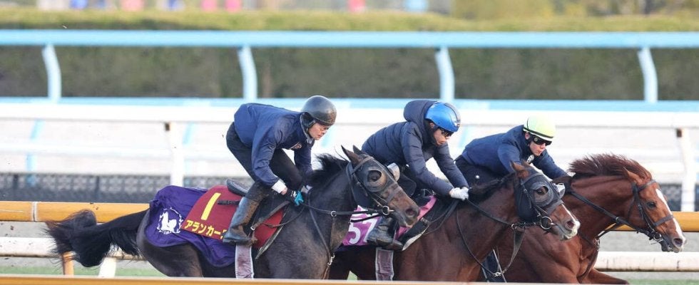 【阪神ＪＦ】アランカールは馬なりで状態万全　斉藤崇調教師「動きも問題ないかなと思います」