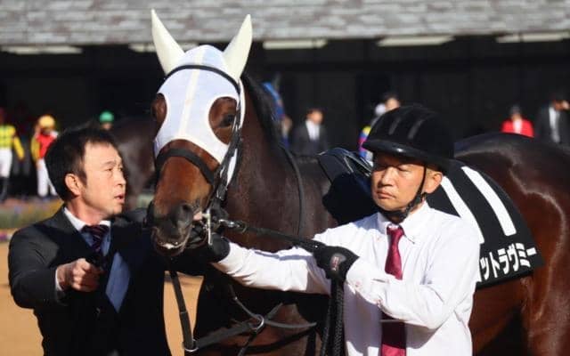【阪神JF】武豊騎手が31年ぶりの2勝目なるか マーゴットラヴミーと初コンビで挑む