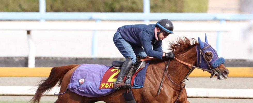 【阪神ＪＦ・山下が見た】アルバンヌは雄大なフットワークで大物感たっぷり