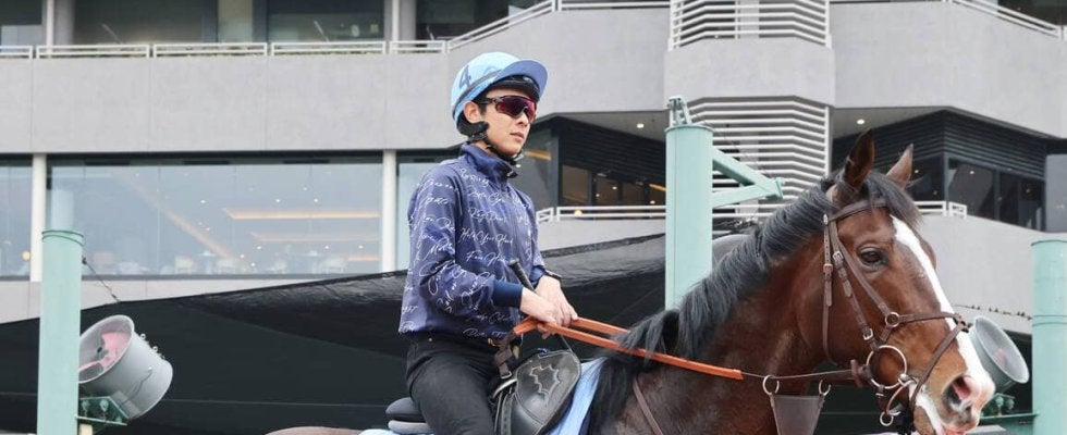 【香港カップ】ローシャムパークは前進気勢戻る　田中博調教師「活発に走りたいと思えるところで終えるように」