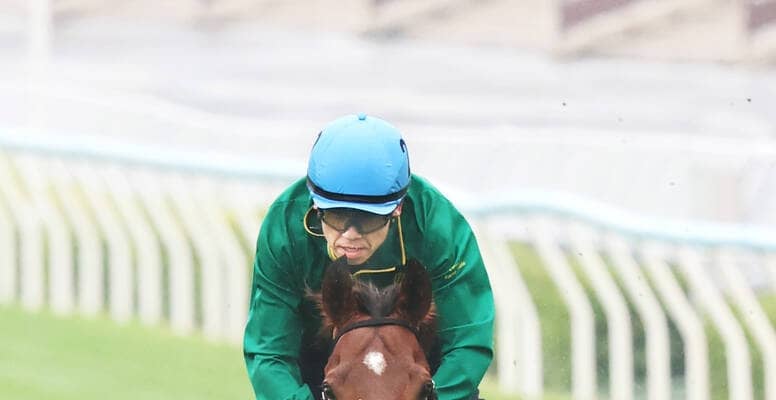 【香港カップ】ベラジオオペラがロマンチックウォリアー４連覇阻止へ鋭伸　上村調教師「勝つつもりで来ている」