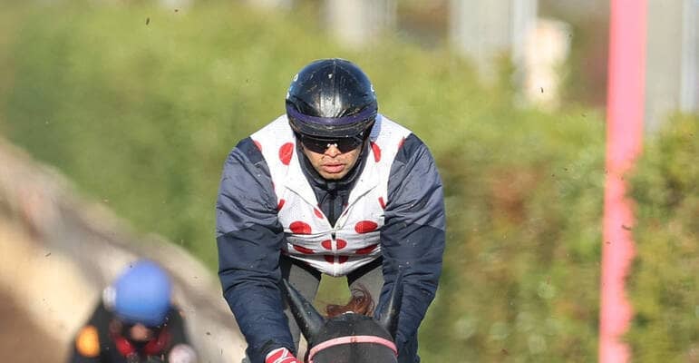 【カペラＳ】重賞４連勝で勢いつけて中東へ　ヤマニンチェルキが入魂追い　中村調教師「体を動かすということで…」