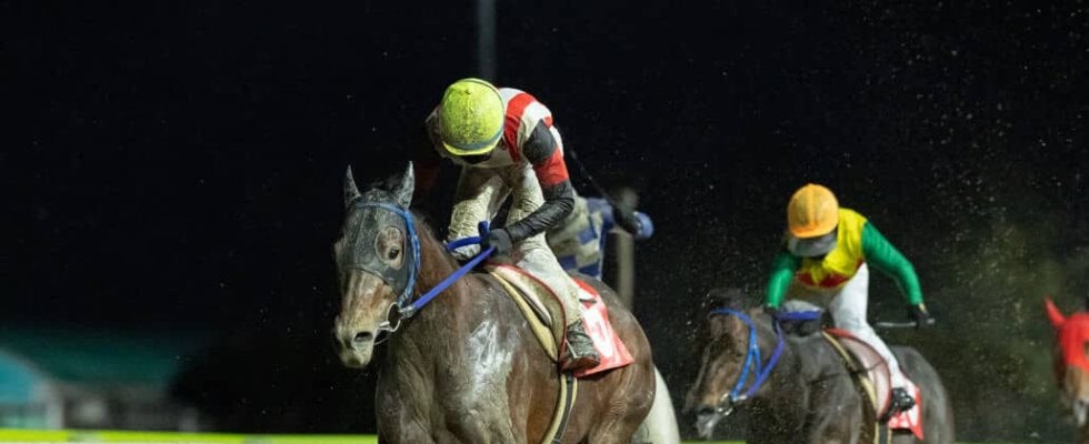 【岩手競馬】佐々木志音騎手が総合40点で栄冠…ゴールデンジョッキーズシリーズを制す