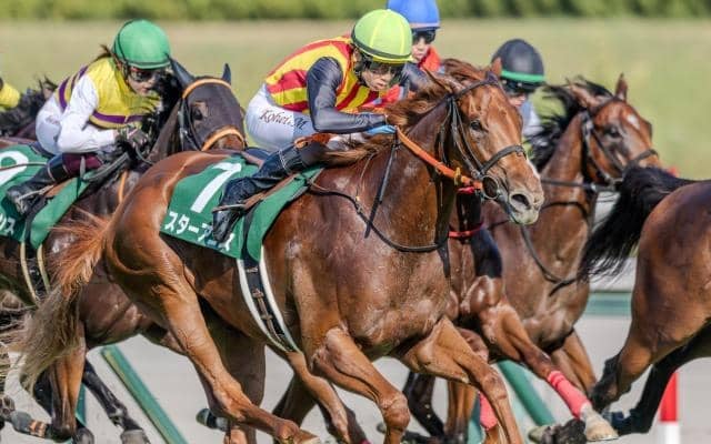 【阪神JF予想】末脚勝負の2歳女王決定戦 AIが指名した“買うべき一頭”とは