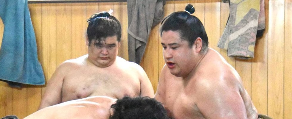 十両・若ノ勝が安青錦、伯桜鵬ら同学年の活躍に対抗心「先を越されているので、早く追いつかないといけない」