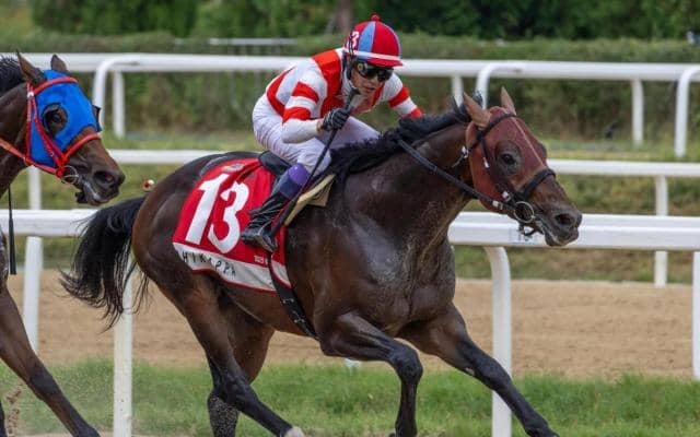 【カペラS展望】JBCスプリント組が強力、好走データ合致のチカッパに注目