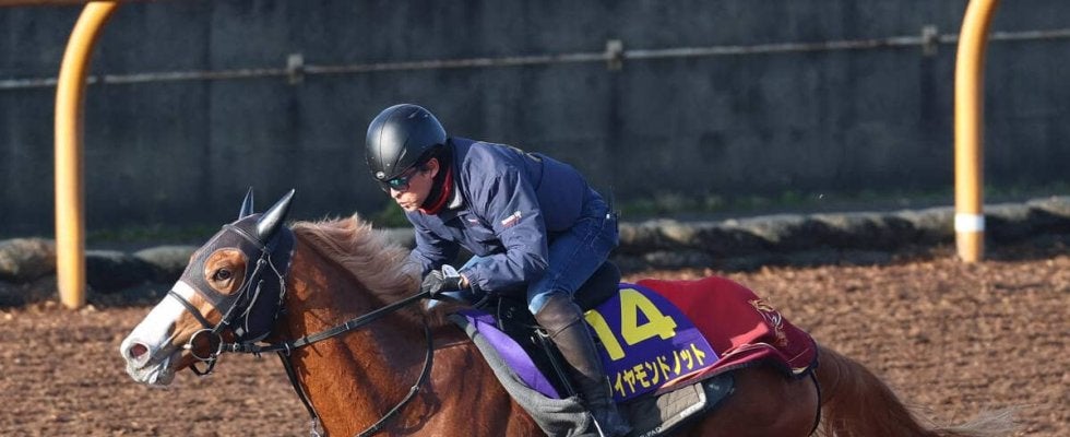 【朝日杯ＦＳ１週前】ダイヤモンドノットは追走先着　福永調教師「うまく脚をためてくれれば」ルメール騎手に期待