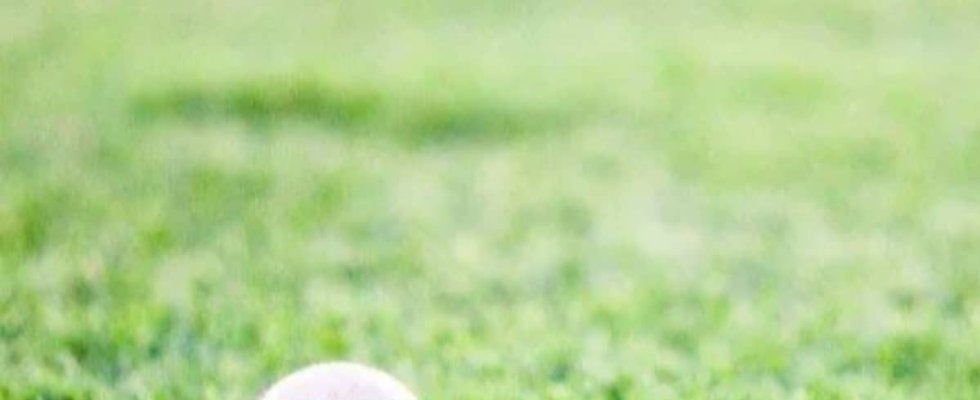 09年WBC優勝に貢献した高代延博さんが死去、野村克也さんから「日本一の三塁ベースコーチ」と称される