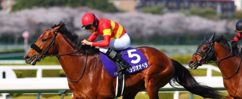 【香港国際競走】JRA勢、最終調整完了…充実の動きで本番へ万全の構え