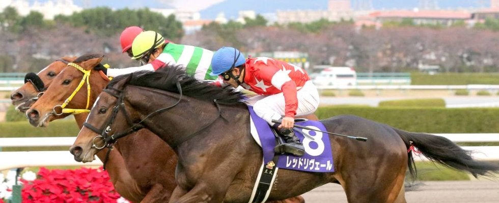 壮絶な無敗馬３頭の追い比べ→“小柄な５番人気馬”はなぜ勝てた？ハープスターを負かした驚きの鬼脚…阪神ＪＦ過去の名勝負
