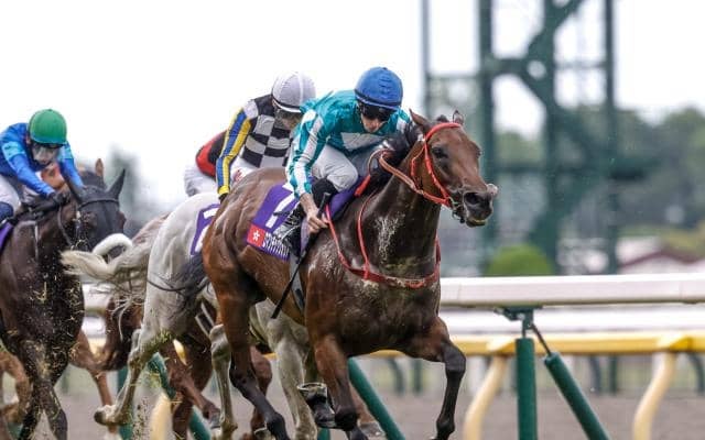 【香港C枠順確定】4連覇目指すロマンチックウォリアー＆マクドナルド騎手は2番ゲート、ベラジオオペラ＆横山和生騎手は5番ゲート