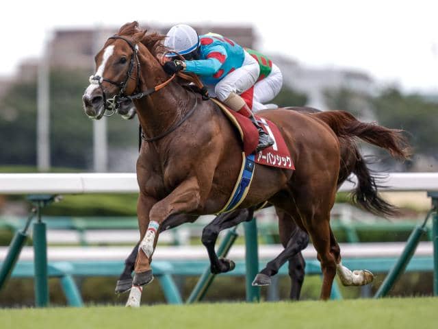 香港ヴァーズ枠順確定】アーバンシック＆ルメール騎手は3番ゲート