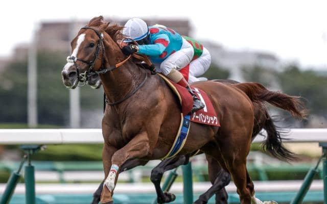 【香港ヴァーズ枠順確定】アーバンシック＆ルメール騎手は3番ゲート