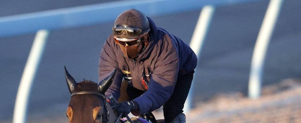 【有馬記念ファン投票】レガレイラが史上最多の６１万２７７１票でトップ！　牝馬初の連覇を狙う