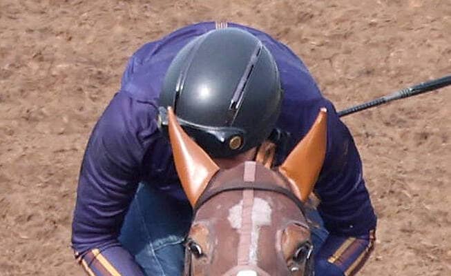 【有馬記念・２週前】ビザンチンドリームがシャープな動き　前走の凱旋門賞５着に健闘