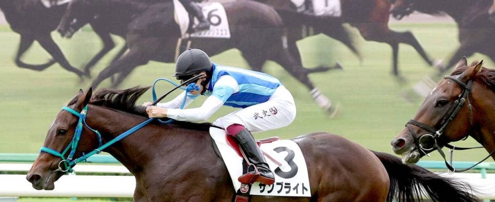 【注目馬動向】阪神ＪＦを抽選除外となったサンブライト　ひいらぎ賞、朝日杯ＦＳの両にらみ