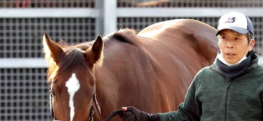 【ＰＯＧ】天国の母ジェンティルに届け　娘のアルジェンテーラがデビューＶへ視界良好　斉藤崇調教師「手脚が軽い」