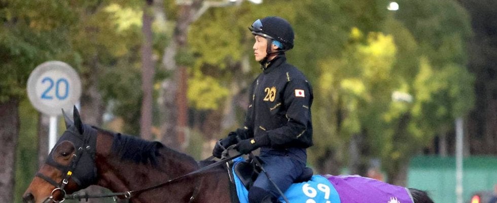 【注目馬動向・古馬】重賞２勝の実力馬サトノグランツが日経新春杯で復帰へ　２月のカタール重賞以来の実戦
