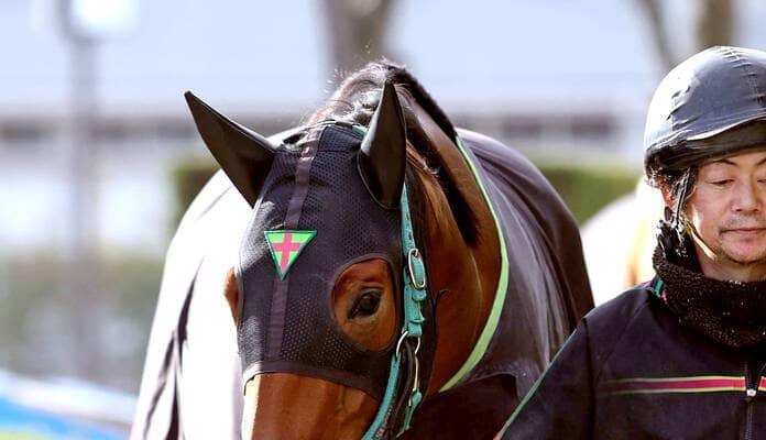 【阪神ＪＦ】ダノンスコーピオンの全妹ギャラボーグが抽選突破　陣営「この幸運を生かしたいし、楽しみ」