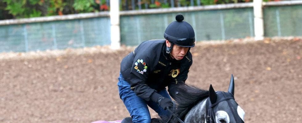 【有馬記念】アドマイヤテラはファン投票「逆転」で“当確”圏内へ　ＪＣでカラ馬「先頭」の激走が影響か
