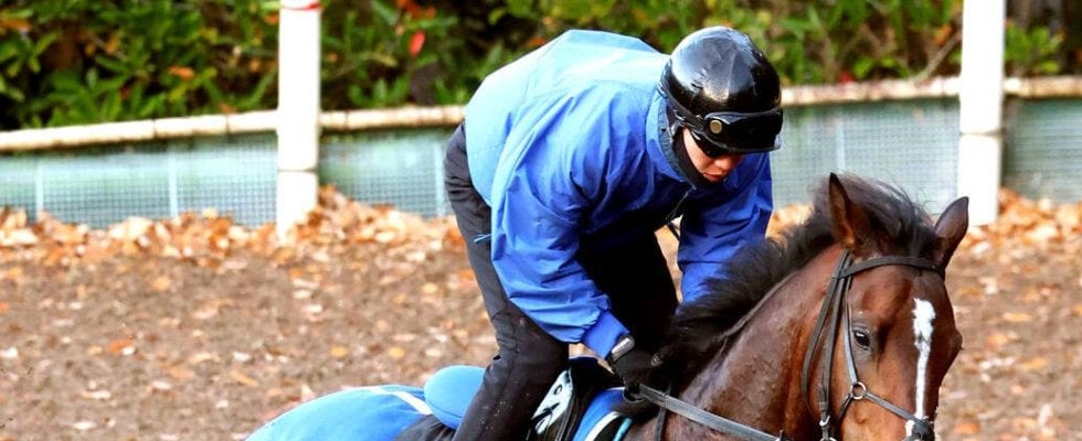 【ＰＯＧ】ディアドラの全弟　イベントホライゾンは１３日中京で初陣　松山弘平騎手「芝は合いそう」