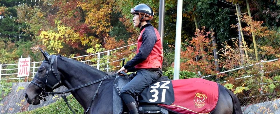 【ＰＯＧ】セレクト５・２億円ホース　サガルマータが今週注目のデビュー　福永調教師「動きの質も上がってきている」