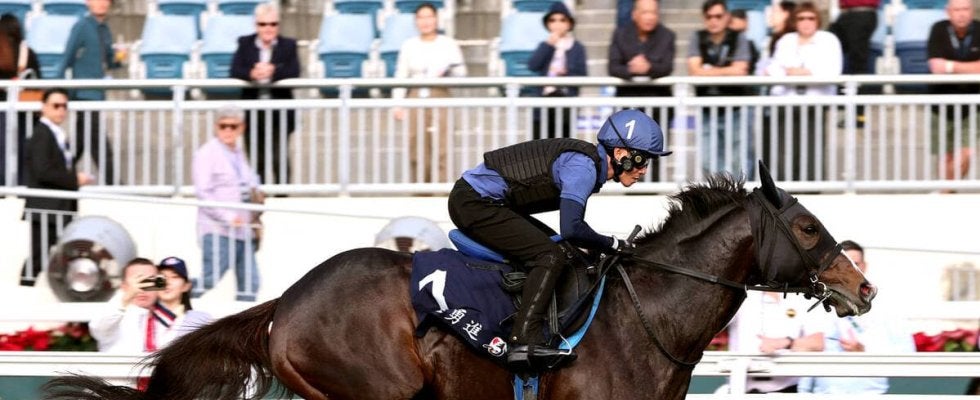 【香港マイル】ソウルラッシュは引退レースへ攻めの追い切りで抜かりなし　池江調教師「皆さんに喜んでもらえるように」