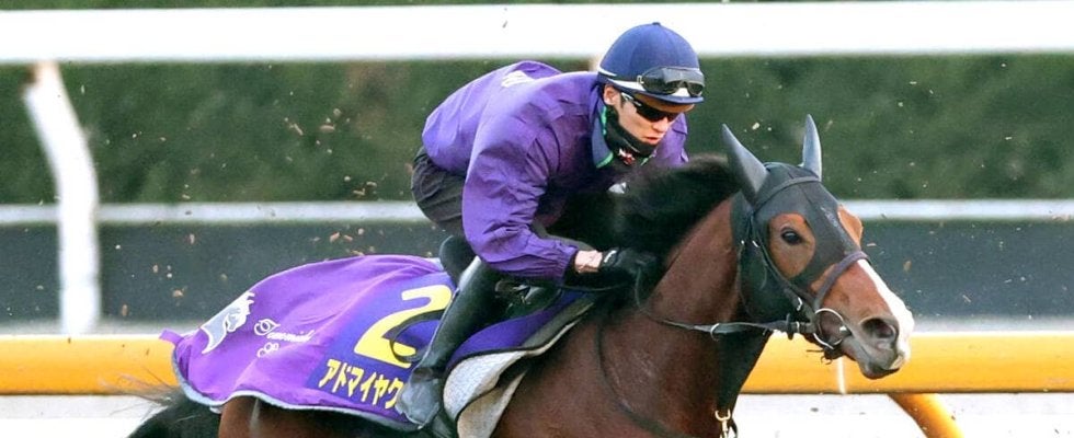 【朝日杯ＦＳ・１週前】アドマイヤクワッズは３頭併せで意欲的に大きく追走　坂井瑠星騎手「基本的に能力の高い馬」