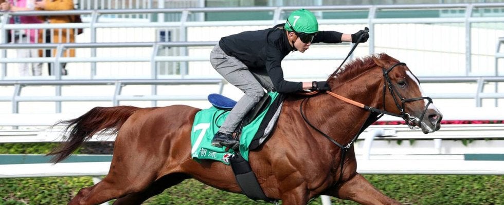 【香港ヴァーズ】アーバンシックは抜群の反応　武井調教師手応え「状態は今年一番いい」　３番ゲートに決定