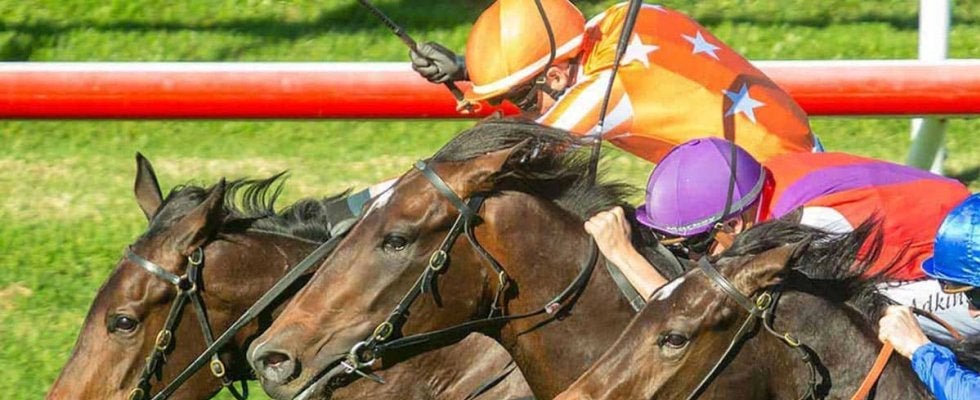 【阪神JF／全頭診断】“馬券内率75％”のモンスター騎手がGI制覇へ虎視眈々　2戦2勝の人気馬評価は