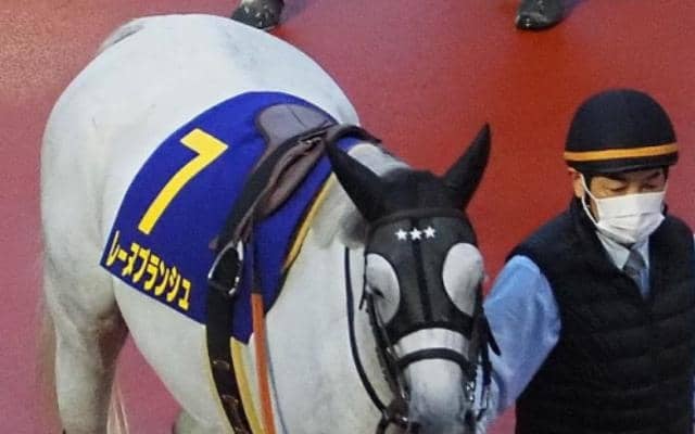 姉はダート重賞2勝のレーヌブランシュ フィサブロスが新馬勝ちなるか