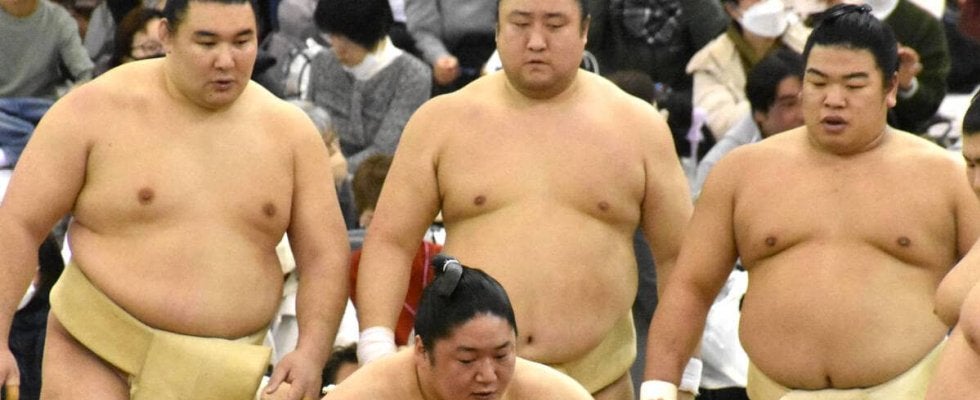 巡業初同行の十両・藤青雲、申し合い稽古では元大関の霧島に連勝「番付が上なので、とても自信になる」