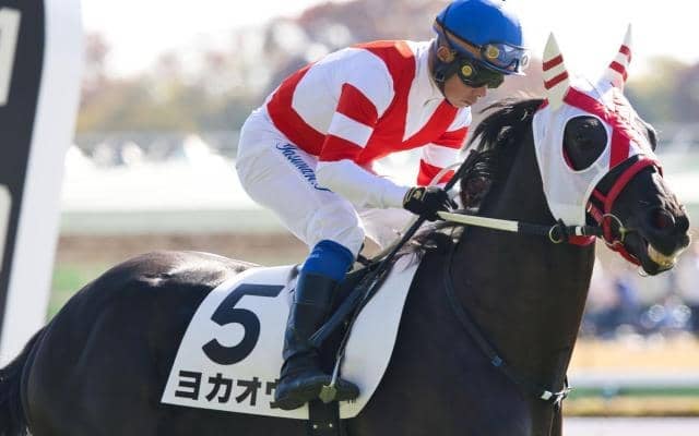 「熊本産の星」ヨカヨカの初仔 ヨカオウが初勝利狙う