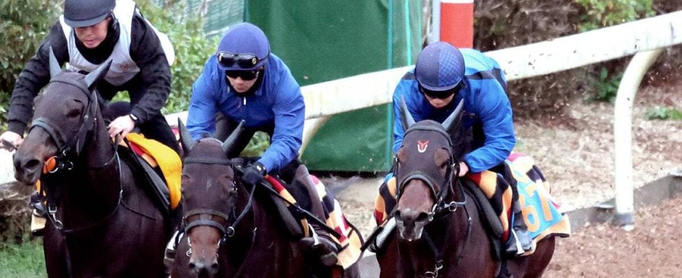 【カペラＳ】ポッドベイダー仕上がり万全　荻野極騎手「満足いく動きで楽しみになった」