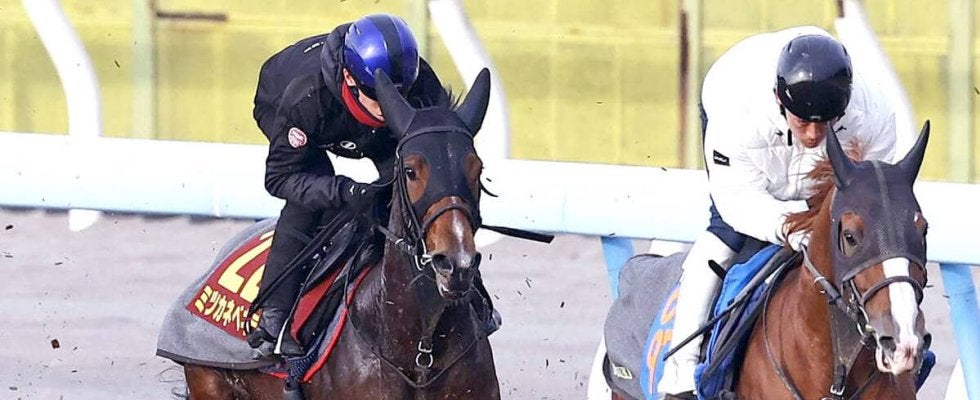 【阪神ＪＦ】ミツカネベネラが馬具も工夫して意識的に“ソフト仕上げ”　津村明秀騎手「気持ちよく走れていた」