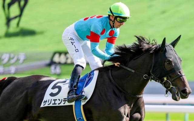 半兄は朝日杯FS覇者のサリオス サリエンテが初勝利なるか