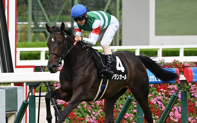 【阪神JF枠順確定】アランカールは2枠4番、マーゴットラヴミーは4枠7番